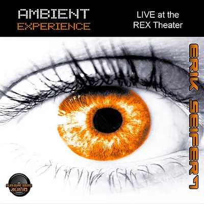 Erik Seifert - Ambient Experience: Live At The Rex Theater (2017) [FLAC]