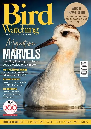Bird Watching UK - October / 2025