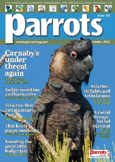Parrots - October / 2025