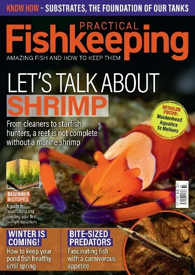 Practical Fishkeeping - October / 2025