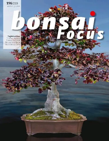 Bonsai Focus - September / October 2025