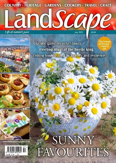 Landscape UK - July / 2025