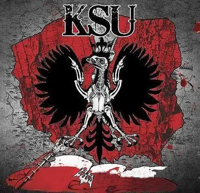 KSU - Dyskografia (1988-2023) MP3