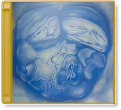 JupiJej x Marceli Bober - SFERA (2025)