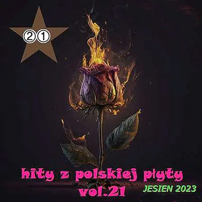 VA - Hity z Polskiej Płyty [21] (2023) MP3